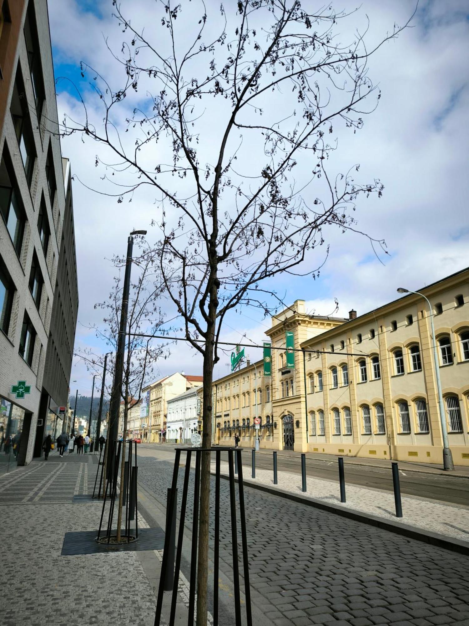 Apartmán Valentinka Minutes Away From Charles Bridge Praha Exteriér fotografie